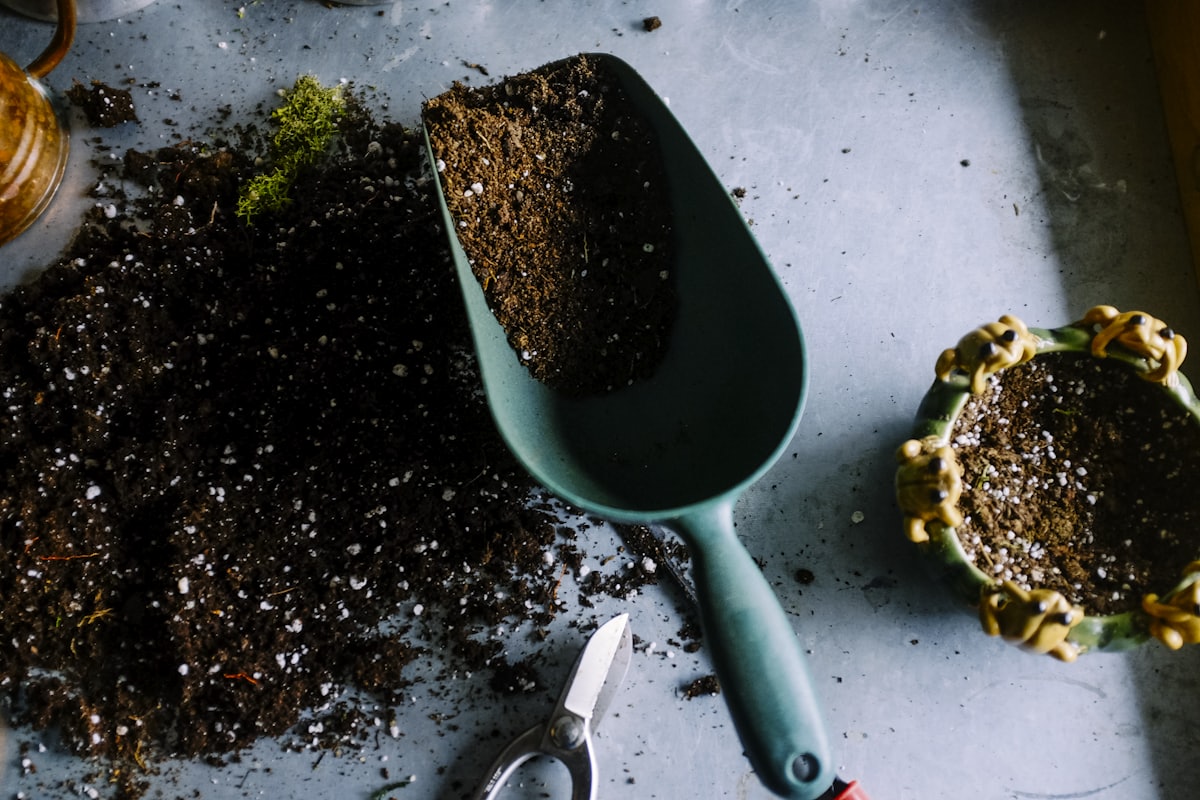 Hands scooping soil in a garden